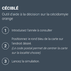 CéciBlé