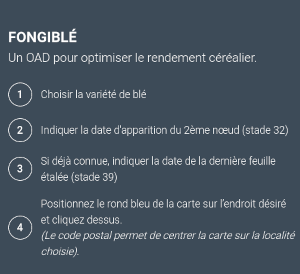 Fongiblé